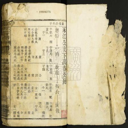 中国李氏族谱-李氏宗谱.pdf电子版插图1