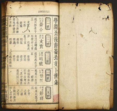 中国李氏族谱-李氏宗谱.pdf电子版插图1