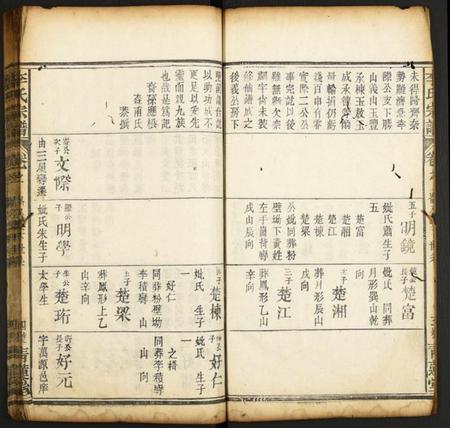 中国李氏族谱-李氏宗谱.pdf电子版插图4