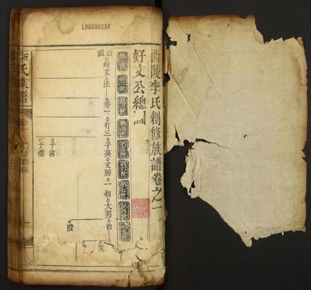 中国李氏族谱-李氏族谱.pdf电子版插图1