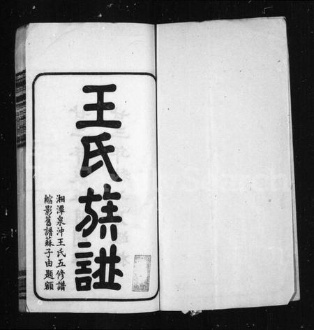湖南王氏族谱-湘潭泉冲王氏五修族谱.pdf电子版插图1