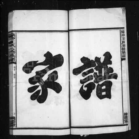 湖南王氏族谱-湘潭泉冲王氏五修族谱.pdf电子版插图4