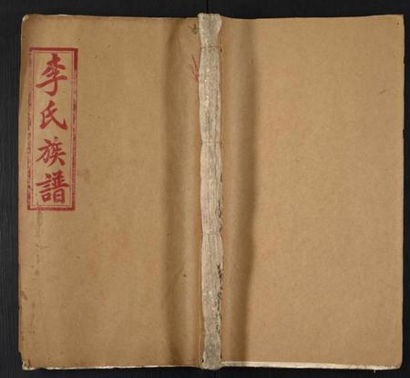 中国李氏族谱-陇西李氏族谱.pdf电子版插图