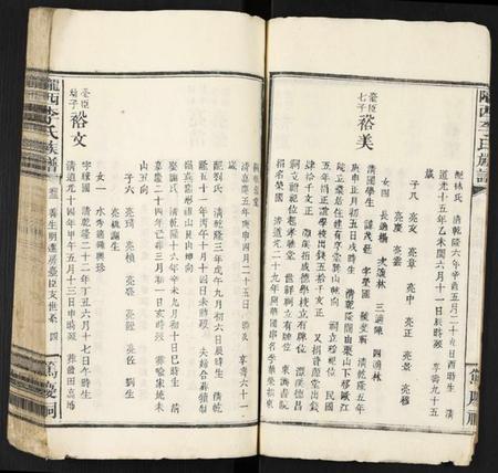 中国李氏族谱-陇西李氏族谱.pdf电子版插图4