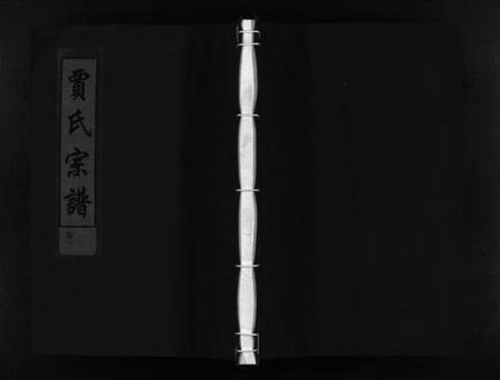 浙江贾氏族谱-贾氏宗谱 [3卷].pdf电子版插图1