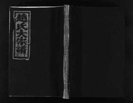 浙江赵氏族谱-赵氏大宗谱 [不分卷].pdf电子版插图1