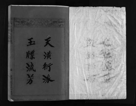 浙江赵氏族谱-赵氏大宗谱 [不分卷].pdf电子版插图2