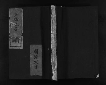 浙江赵氏族谱-赵氏大宗谱 [不分卷].pdf电子版插图1
