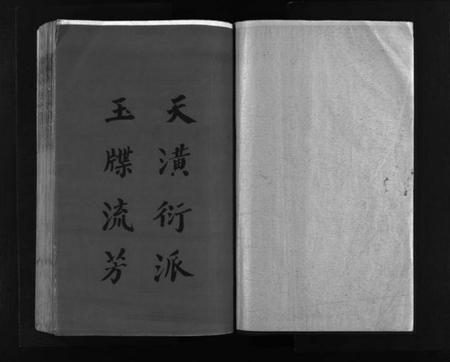 浙江赵氏族谱-赵氏大宗谱 [不分卷].pdf电子版插图2