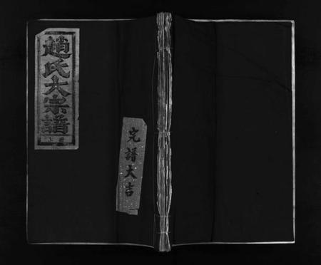 浙江赵氏族谱-赵氏大宗谱 [不分卷].pdf电子版插图1