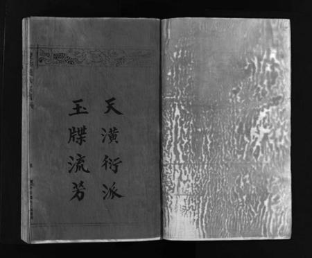 浙江赵氏族谱-赵氏大宗谱 [不分卷].pdf电子版插图2