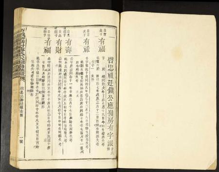 江西廖氏族谱-石城新坊村廖氏八九联修族谱.pdf电子版插图1