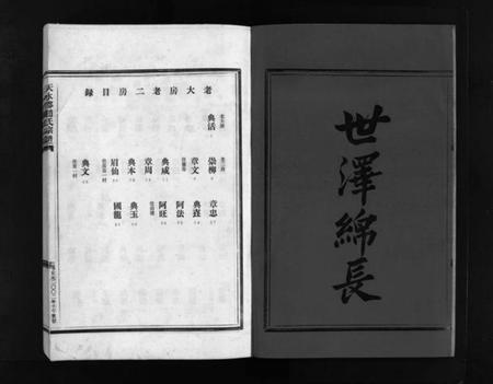 浙江赵氏族谱-赵氏宗谱 [2卷].pdf电子版插图3