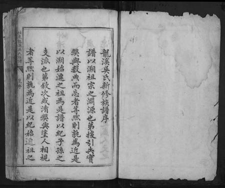 湖南吴氏族谱-桂东龙溪吴氏族谱[不分卷].pdf电子版插图1