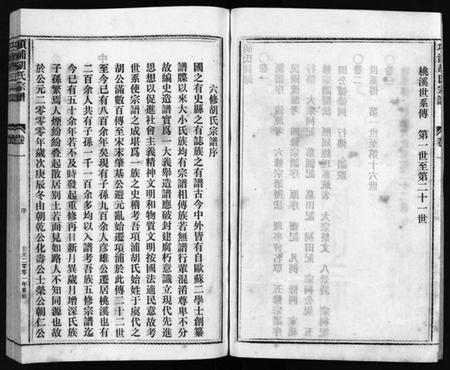 浙江胡氏族谱-路桥项浦胡氏宗谱 [4卷].pdf电子版插图5