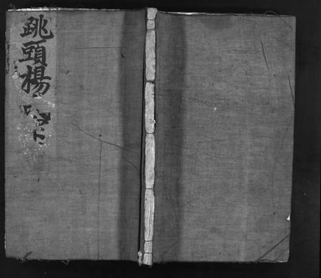 浙江杨氏族谱-跳头杨氏宗谱 [不分卷].pdf电子版插图1