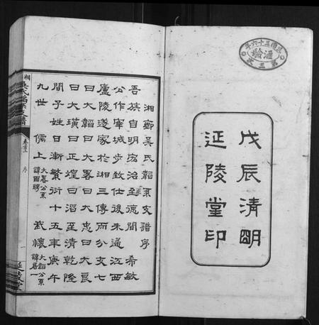 湖南吴氏族谱-湘乡吴氏韬系支谱[10卷首2卷].pdf电子版插图2
