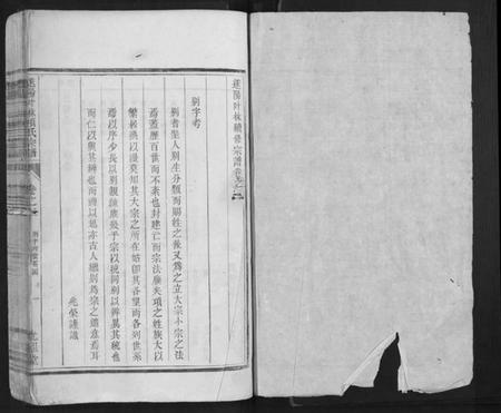 浙江项氏族谱-遂阳叶林项氏宗谱.pdf电子版插图1