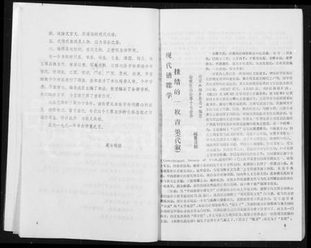 湖南吴氏族谱-新桥吴氏族谱.pdf电子版插图5