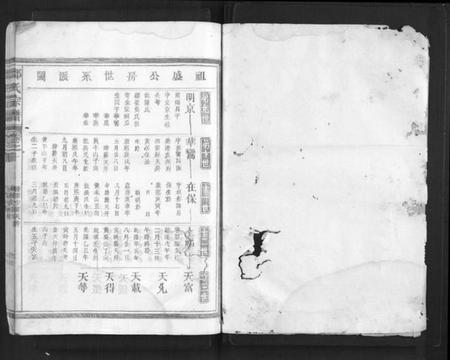 浙江邓氏族谱-邓氏宗谱[10卷].pdf电子版插图1
