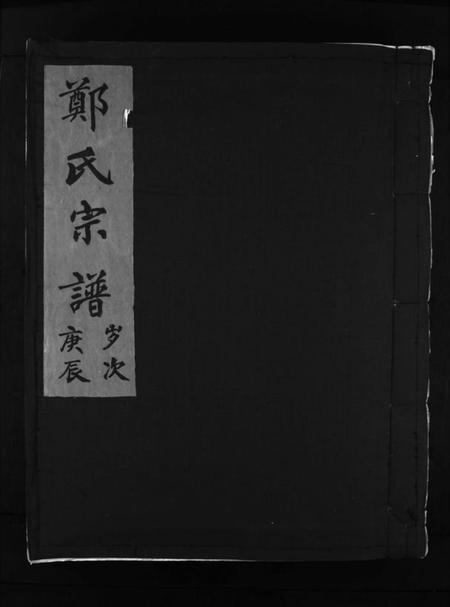 浙江郑氏族谱-郑氏宗谱 [不分卷].pdf电子版插图1