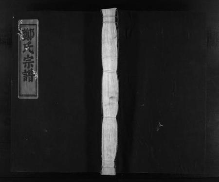 浙江郑氏族谱-郑氏宗谱 [不分卷].pdf电子版插图1