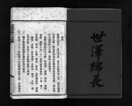 浙江郑氏族谱-郑氏宗谱 [不分卷].pdf电子版插图3