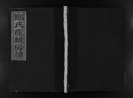 浙江郑氏族谱-郑氏龙绕房谱 [不分卷].pdf电子版插图1