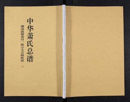 湖南萧氏族谱-中华萧氏总谱汉一郎青烟族谱[3卷].pdf电子版插图