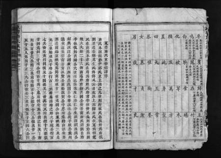 浙江唐氏族谱-重修兰江东鲁唐氏族谱.pdf电子版插图4