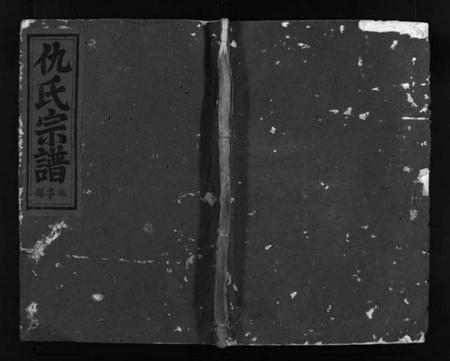 浙江仇氏族谱-金山仇氏宗谱 [4卷,含首1卷].pdf电子版插图1