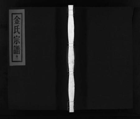 浙江金氏族谱-金氏宗谱 [6卷].pdf电子版插图1