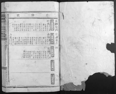 浙江金氏族谱-金华藕湖金氏宗谱.pdf电子版插图1
