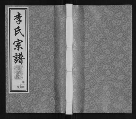 江苏李氏族谱-李氏宗谱.pdf电子版插图