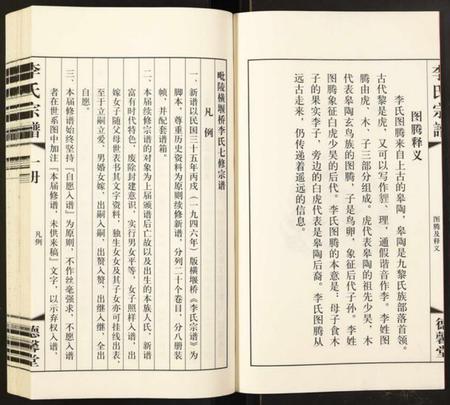 江苏李氏族谱-李氏宗谱.pdf电子版插图4