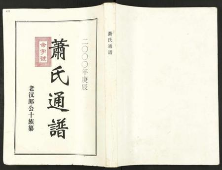 湖南萧氏族谱-萧氏通谱 [全1卷].pdf电子版插图