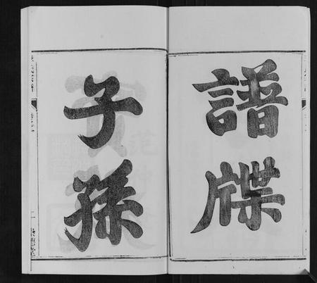 江苏李氏族谱-李氏宗谱[16卷].pdf电子版插图2
