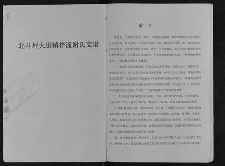 湖南谢氏族谱-北斗坪大进镇梓潼谢氏支谱.pdf电子版插图1