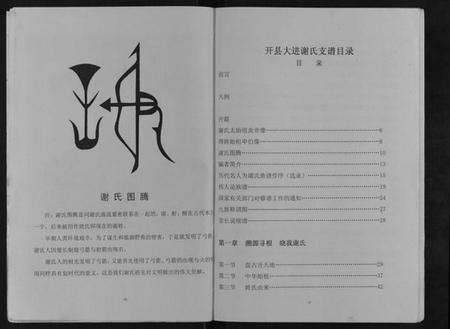 湖南谢氏族谱-北斗坪大进镇梓潼谢氏支谱.pdf电子版插图5