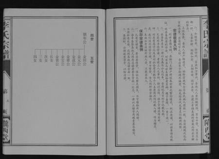 江苏李氏族谱-李氏宗谱[不分卷].pdf电子版插图5