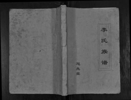 江苏李氏族谱-李氏族谱[不分卷].pdf电子版插图