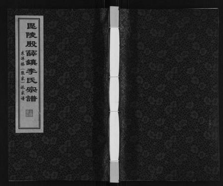 江苏李氏族谱-李氏东洋桥派家谱.pdf电子版插图