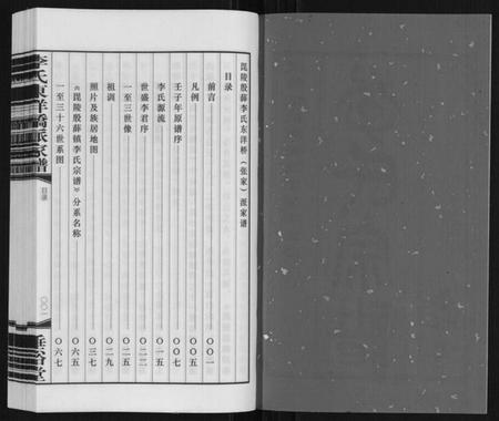 江苏李氏族谱-李氏东洋桥派家谱.pdf电子版插图2