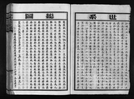浙江武氏族谱-长山武氏宗谱 [不分卷].pdf电子版插图4