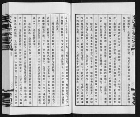 江苏李氏族谱-李氏东洋桥派家谱.pdf电子版插图4