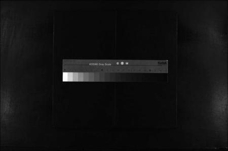 浙江武氏族谱-长山武氏宗谱 [不分卷].pdf电子版