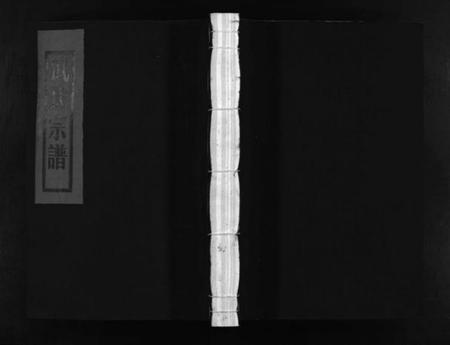 浙江武氏族谱-长山武氏宗谱 [不分卷].pdf电子版插图1