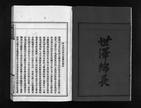 浙江武氏族谱-长山武氏宗谱 [不分卷].pdf电子版插图3