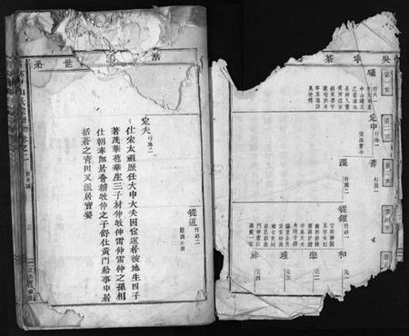 浙江金氏族谱-长林中山[金]氏宗谱 [残卷].pdf电子版插图3