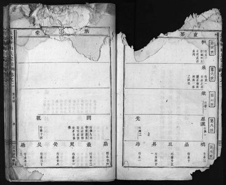 浙江金氏族谱-长林中山[金]氏宗谱 [残卷].pdf电子版插图4